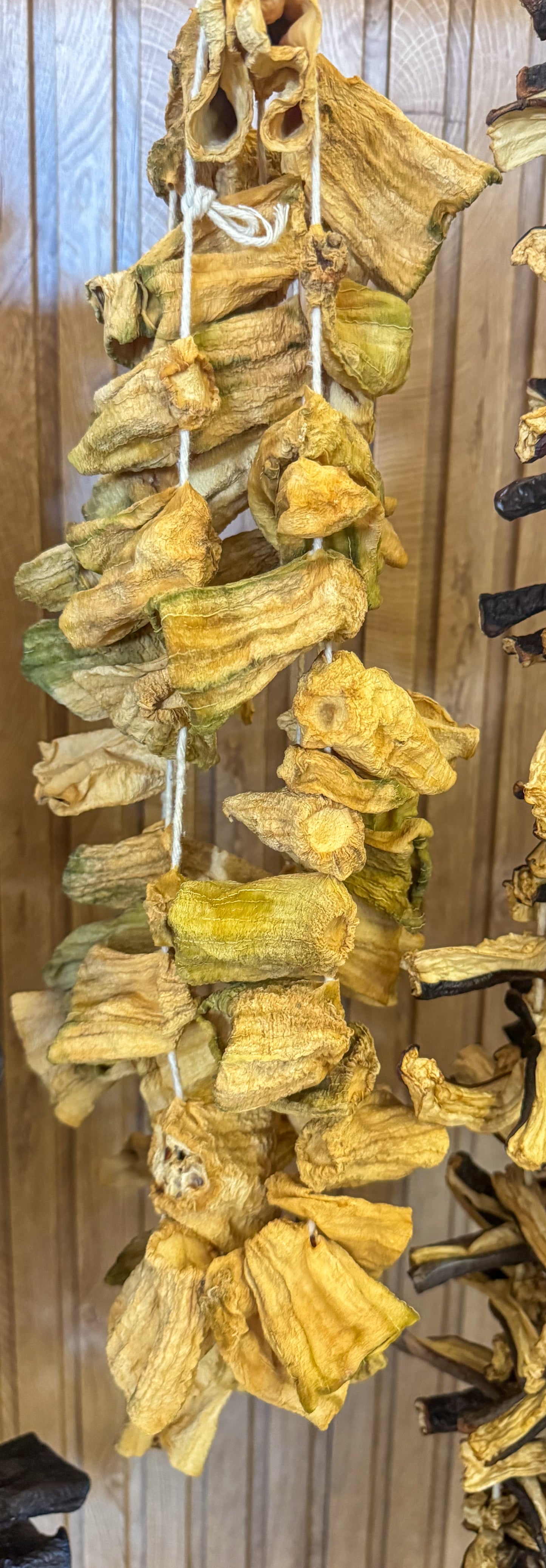 Dolmalık Kabak Kurusu ( 20 Adet )