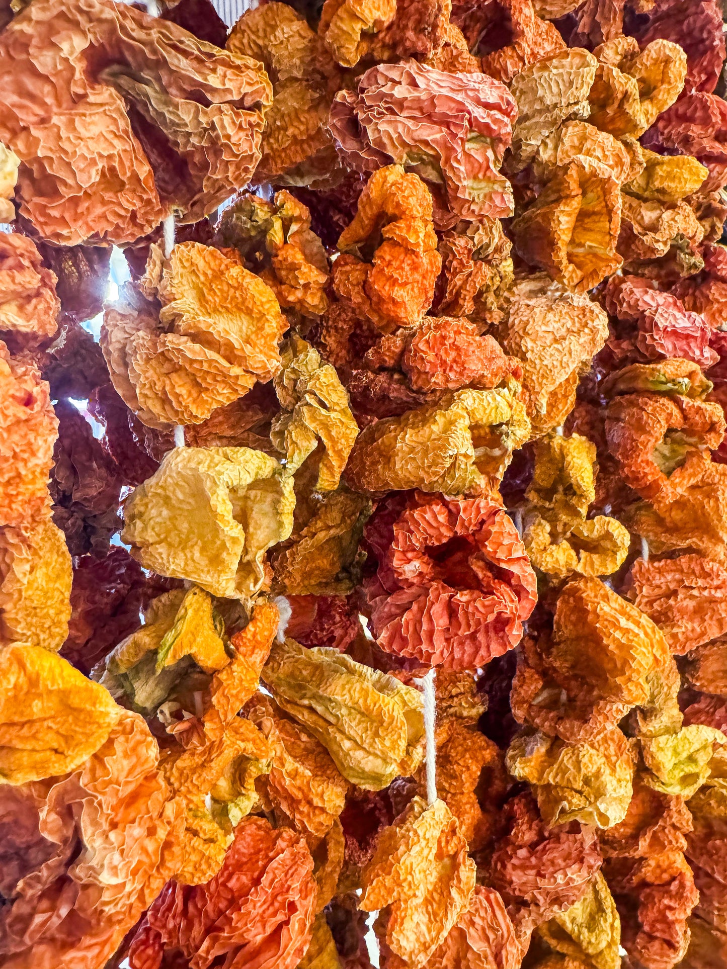 Antep Dolmalık Biber Kurusu az açi