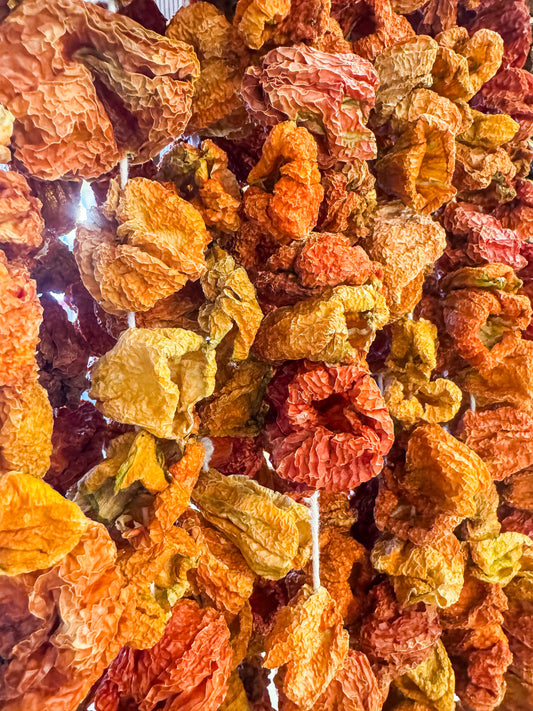 Antep Dolmalık Biber Kurusu az açi